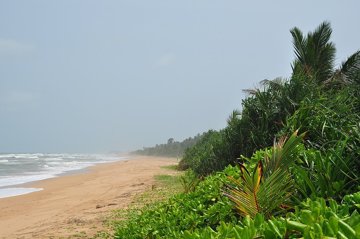 Sri_Lanka,_Bentota,_beach_(2)